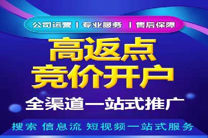 行业专家解析SEM代运营成功案例